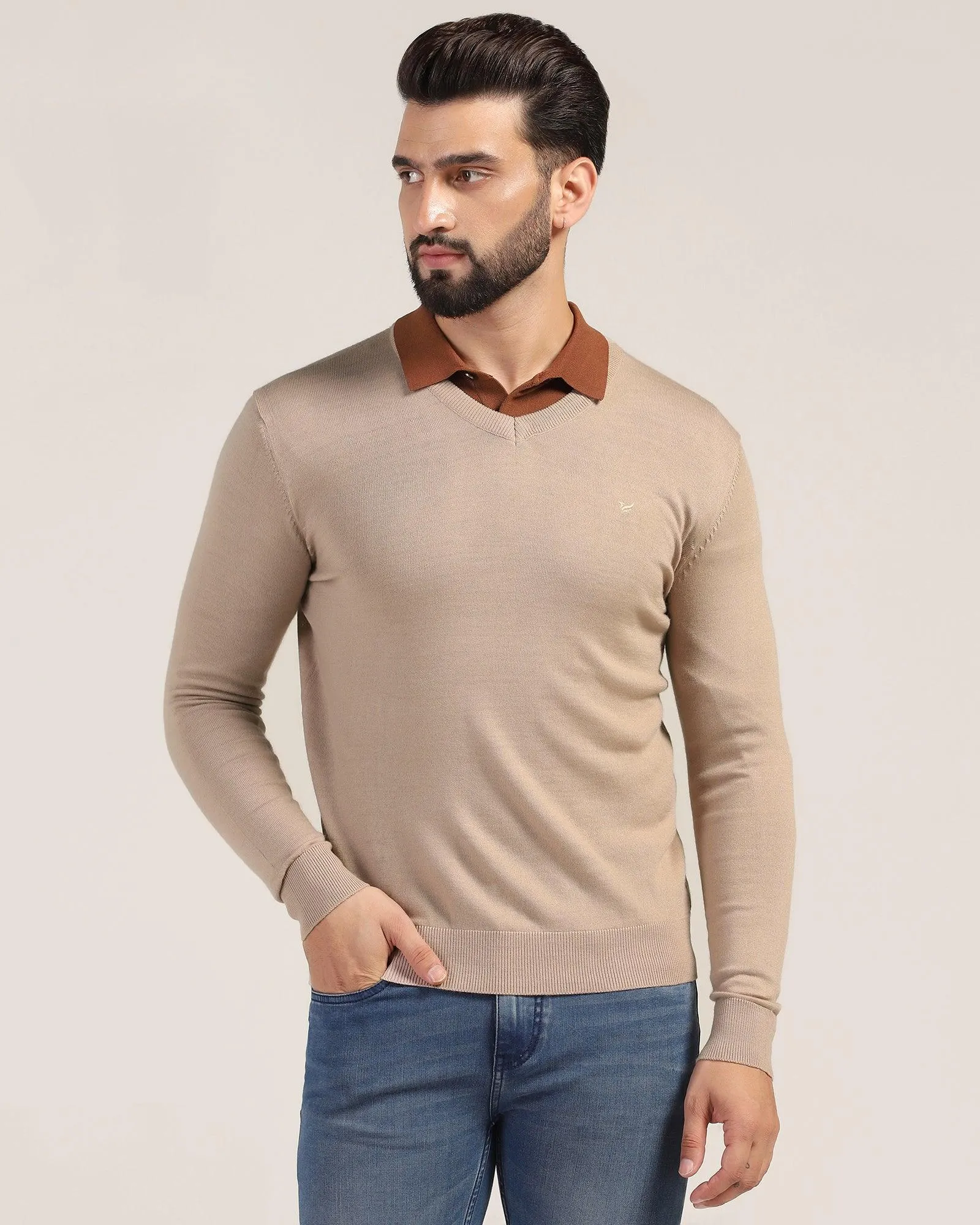 V-Neck Beige Solid Sweater - Ken